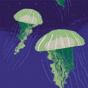 Meet your Posher, Isabella